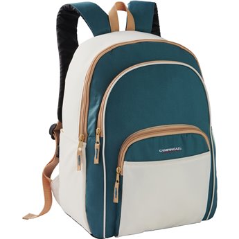 Ισοθερμική τσάντα ψυγείο FoldN Cool 20L